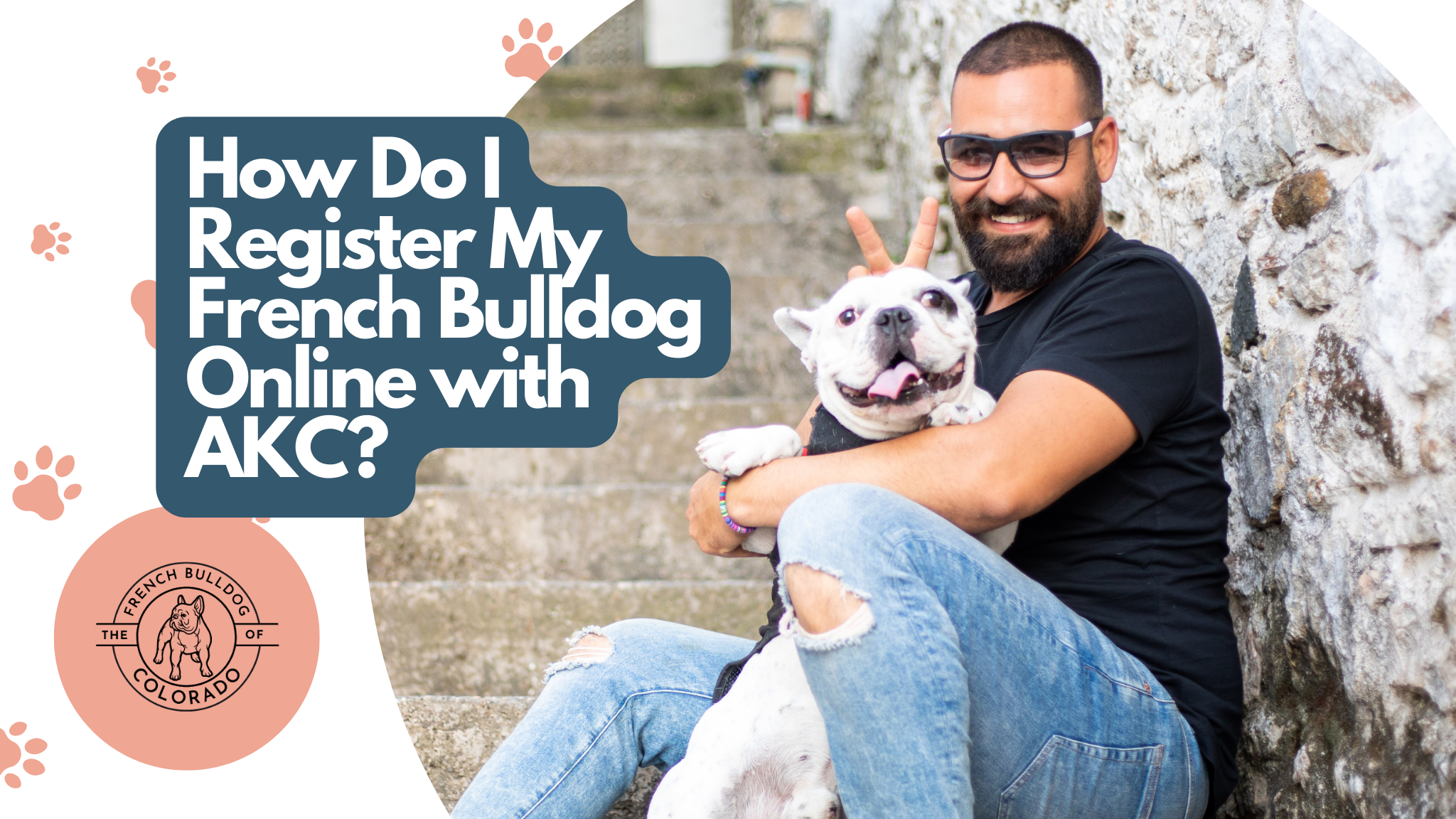 How Do I Register My French Bulldog Online with AKC? The French Bulldog of Colorado Blog