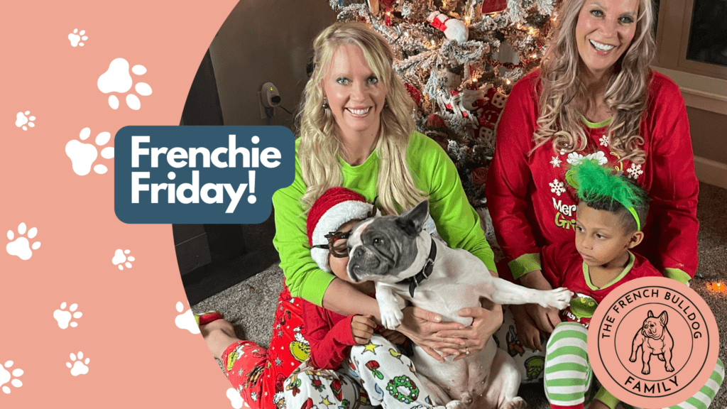 Frenchie Friday December 25th, 2020