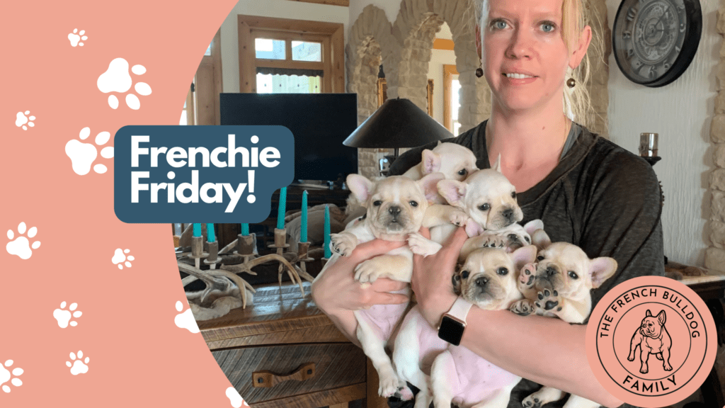 Frenchie Friday April 2nd, 2021
