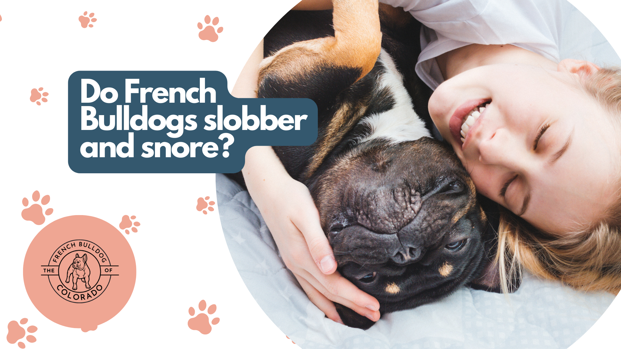 Do French Bulldogs slobber and snore? The French Bulldog of Colorado Blog