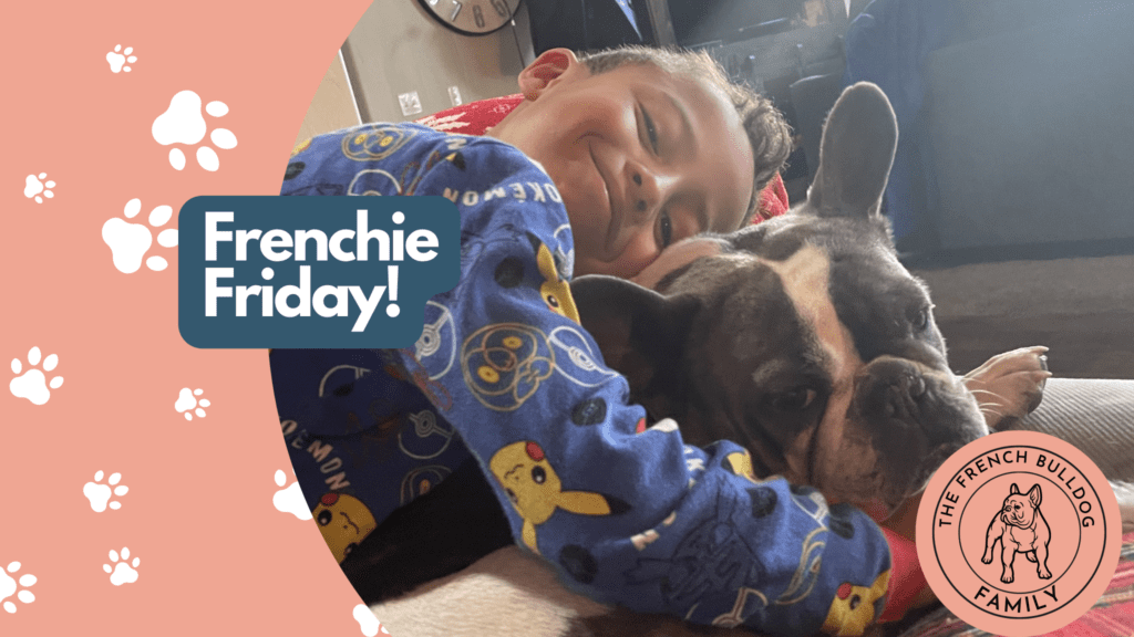 Frenchie Friday December 17th, 2021