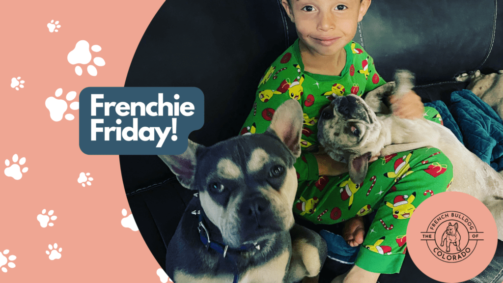 Frenchie Friday February 18th, 2022