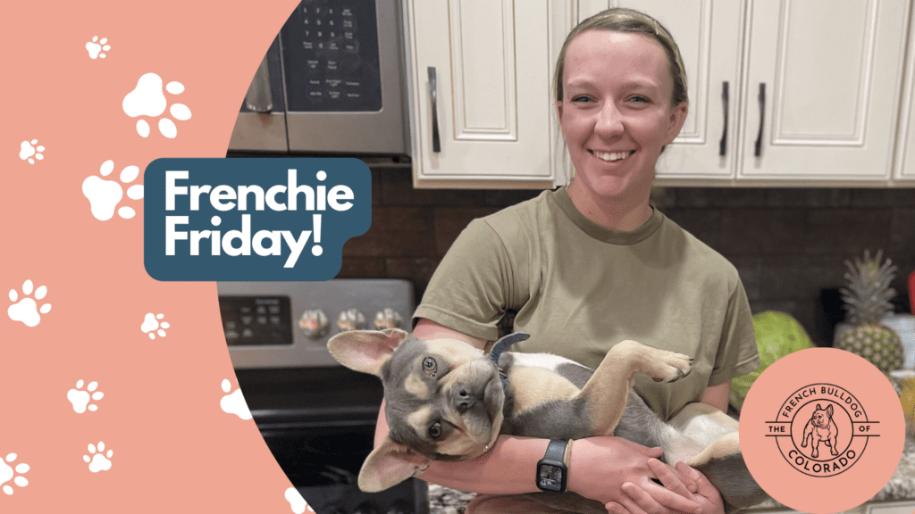 Frenchie Friday March 11th, 2022