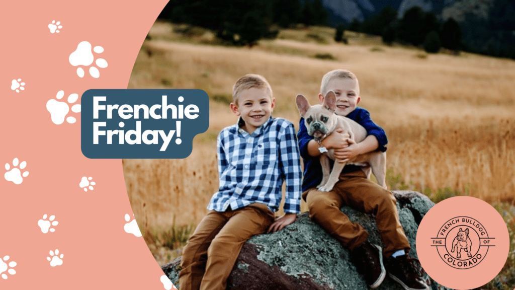 Frenchie Friday March 4th, 2022