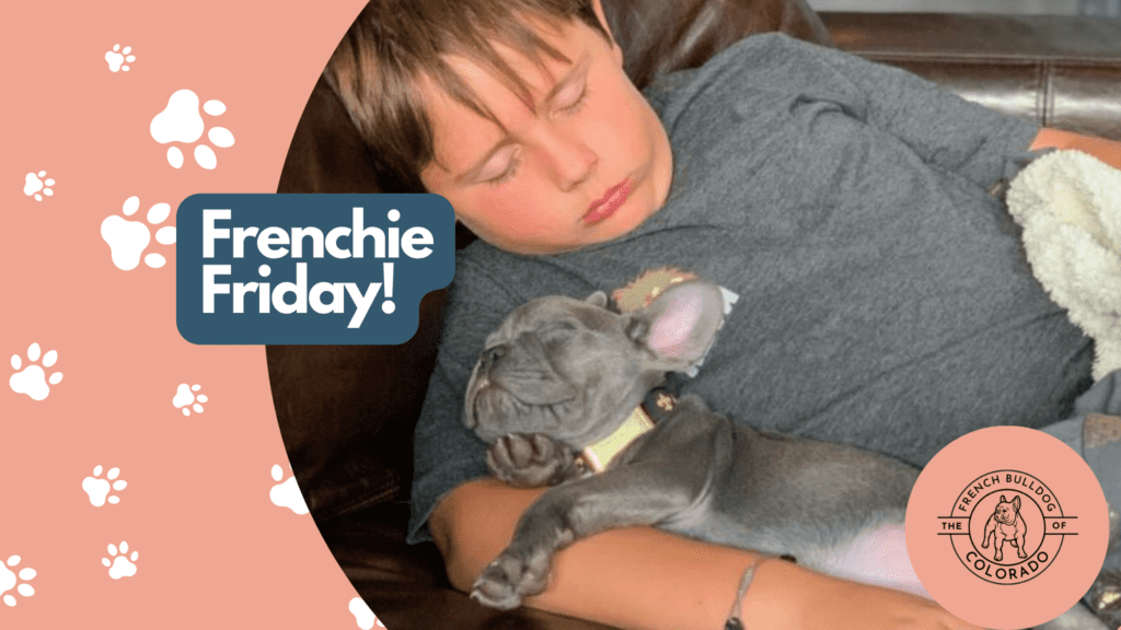 Frenchie Friday April 15th, 2022