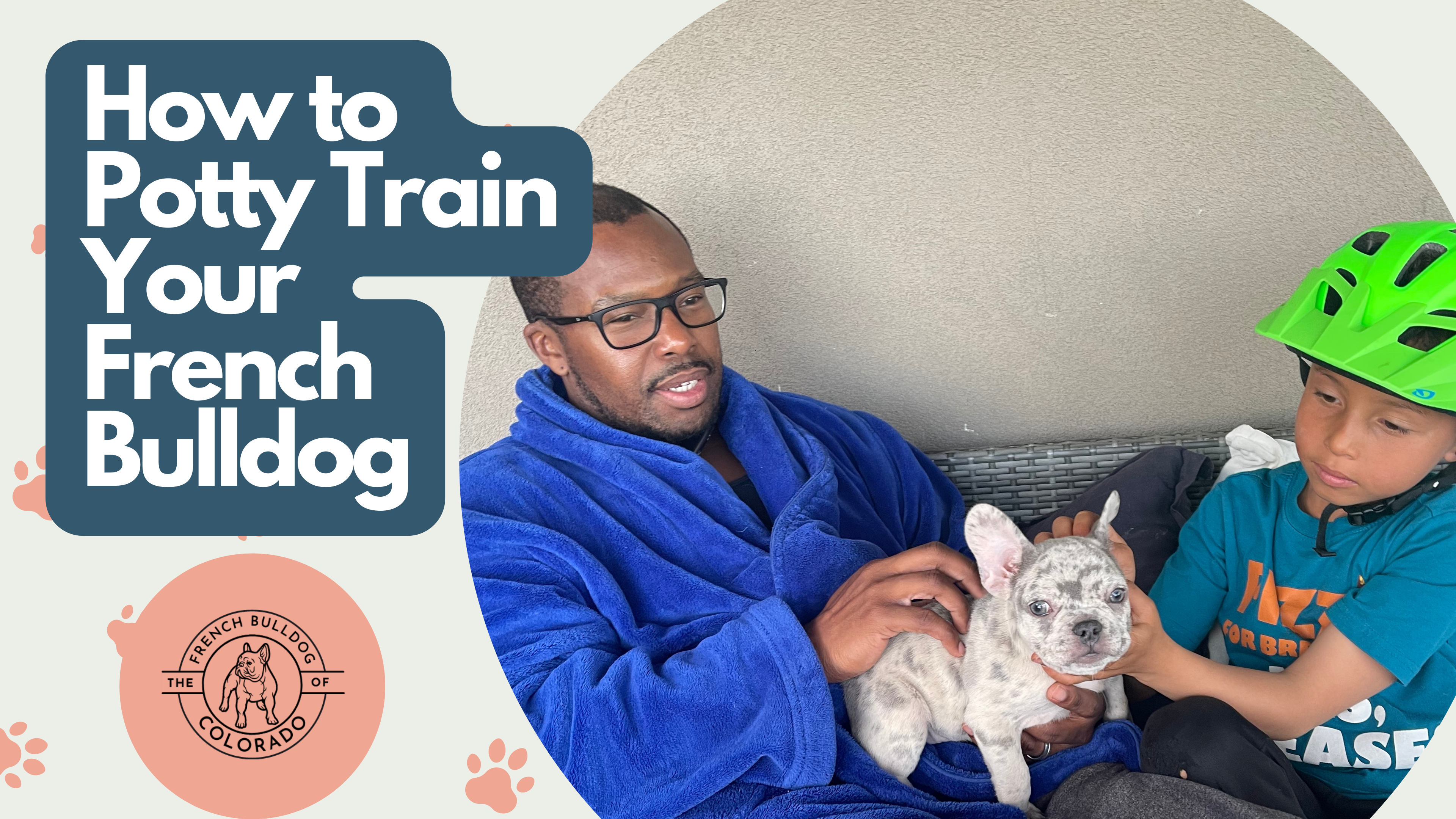 How to Potty Train Your French Bulldog