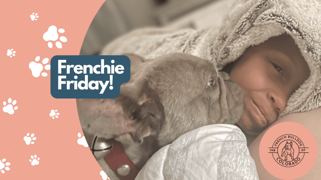 Frenchie Friday May 6th, 2022