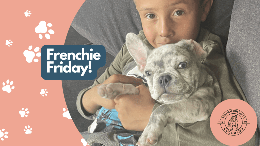 Frenchie Friday  June 10th, 2022