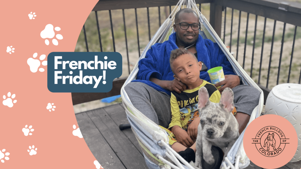 Frenchie Friday June 3rd, 2022