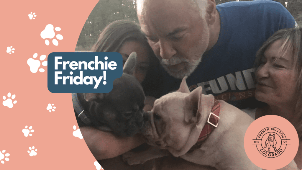 Frenchie Friday September 30th, 2022