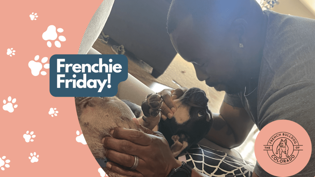 Frenchie Friday October 21st, 2022