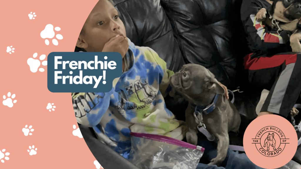 Frenchie Friday October 7th, 2022