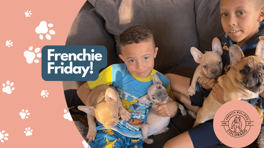 Frenchie Friday December 23rd, 2022