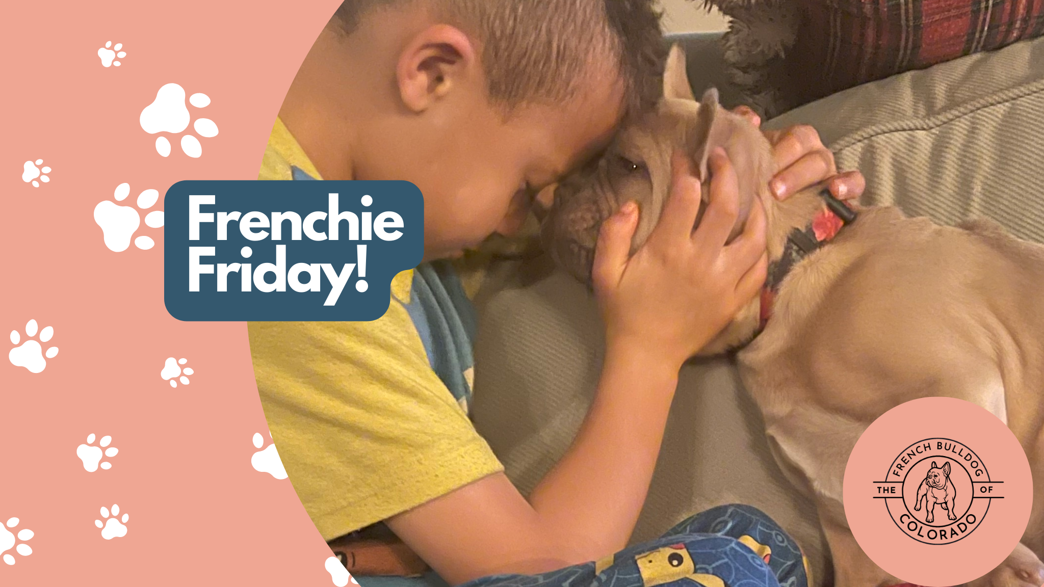 Frenchie Friday December 16th, 2022
