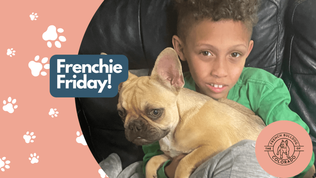 Frenchie Friday November 18th, 2022