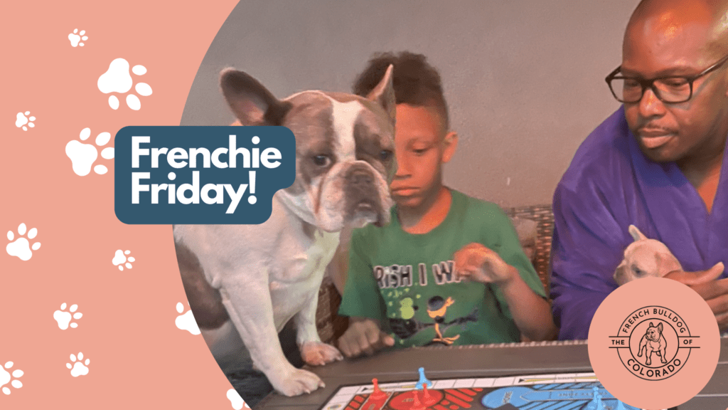 Frenchie Friday September 2nd, 2022