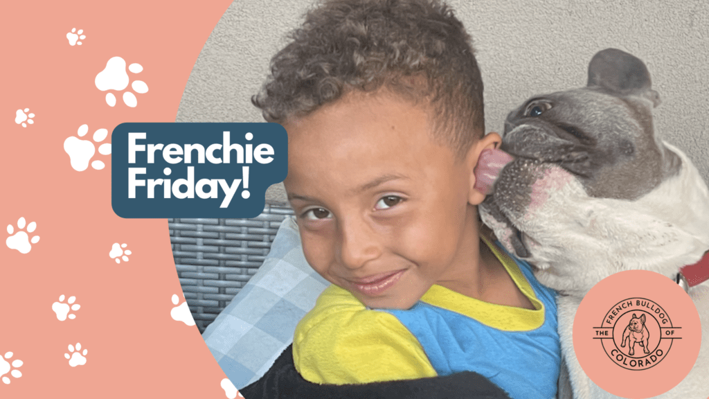 Frenchie Friday July 1st, 2022
