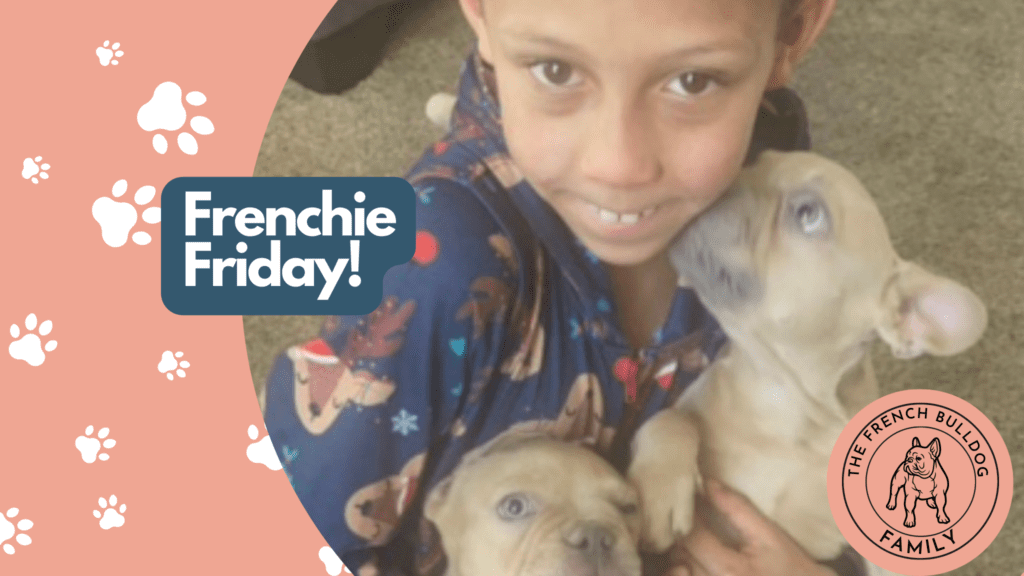 Frenchie Friday February 3rd, 2023