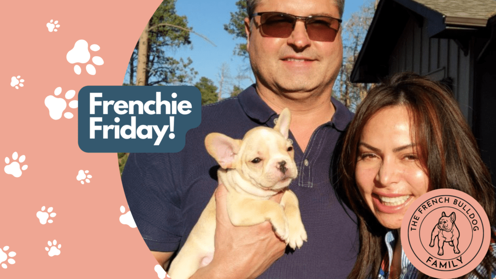 Frenchie Friday March 12th, 2021