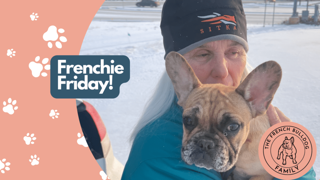 Frenchie Friday Feb 24, 2023