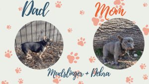 Mudslinger & Debra Frenchie's parents