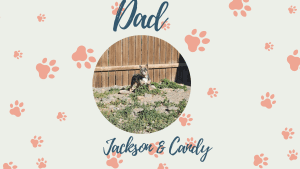 Jackson & Candy - Frenchie's parents