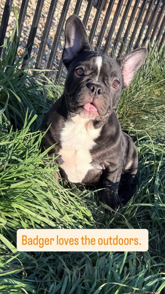 5225C735-574A-4629-9610-C641337F4542