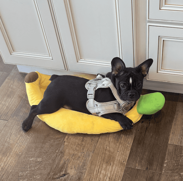 Screenshot 2025-10-04 at 7.12.15 AM