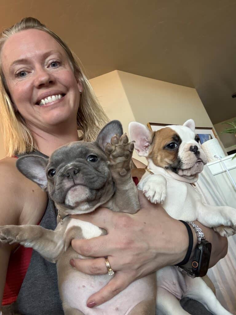Feather | Blue Fawn French Bulldog Female | Available Feb 27th, 2026