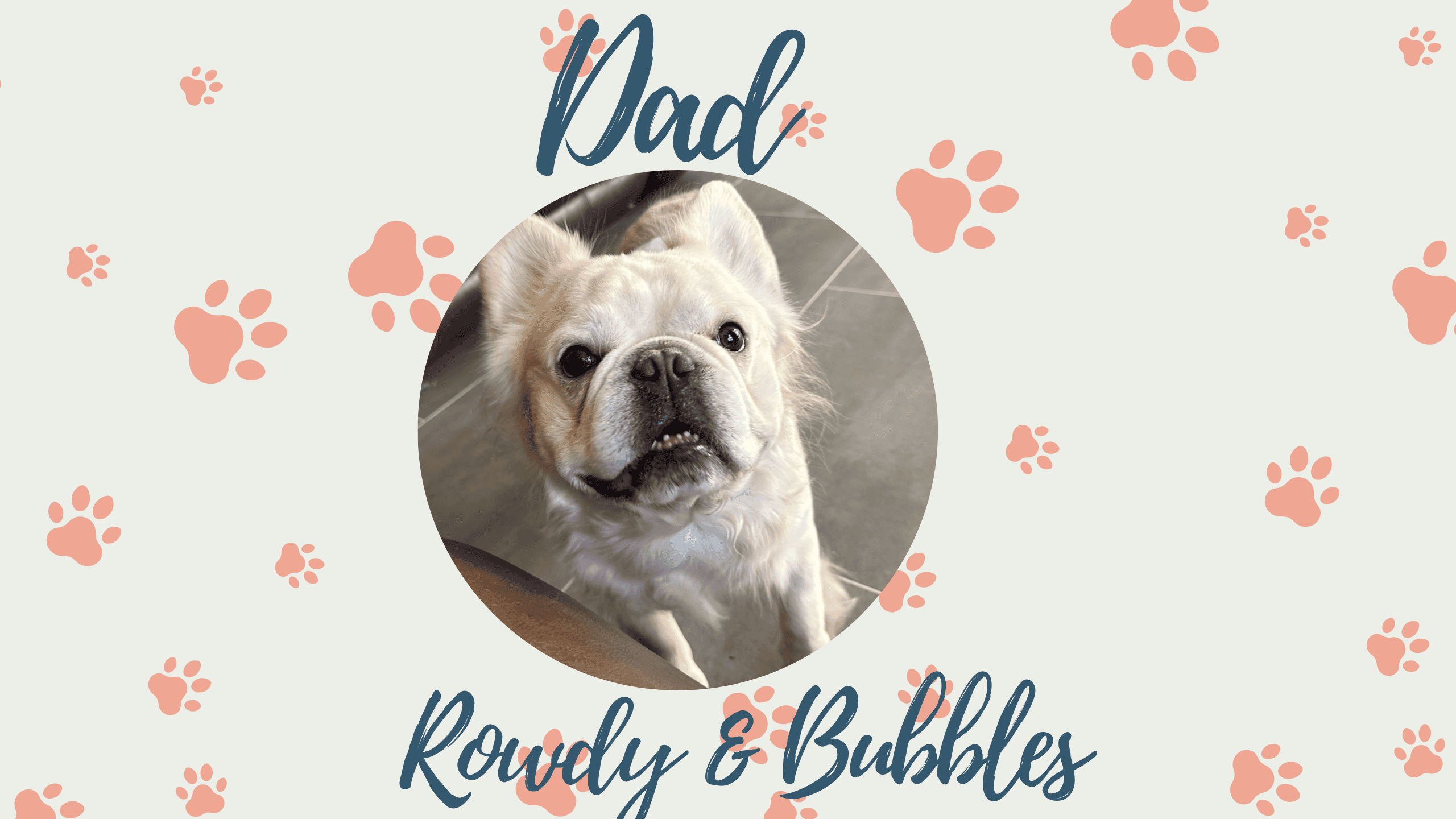 Bubbles & Rowdy French Bulldog Litters | Due June 4th | Pup ready in Aug 13th, 2026