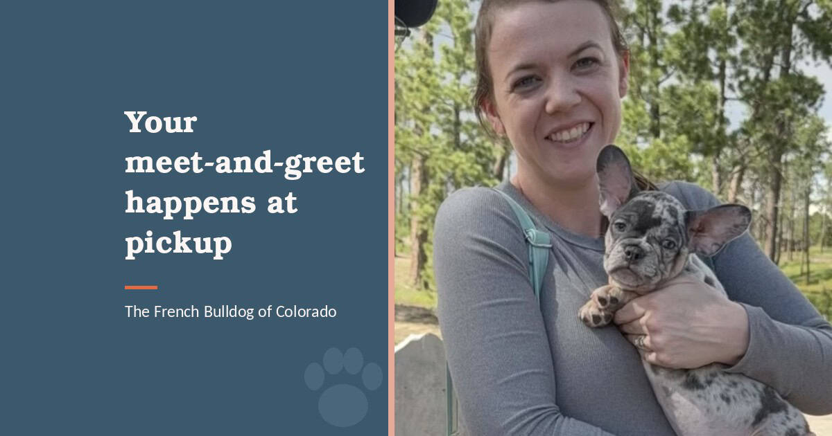 Woman at pick up with her frenchie pup