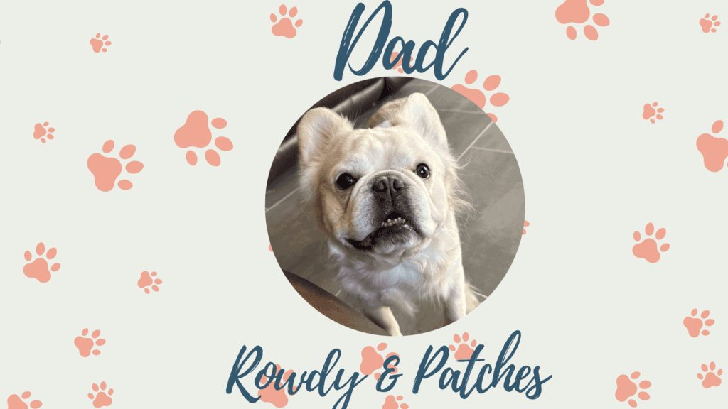 Rowdy & Patches French Bulldog Litters | Due Oct 30th | Pup ready in Jan 8th, 2026