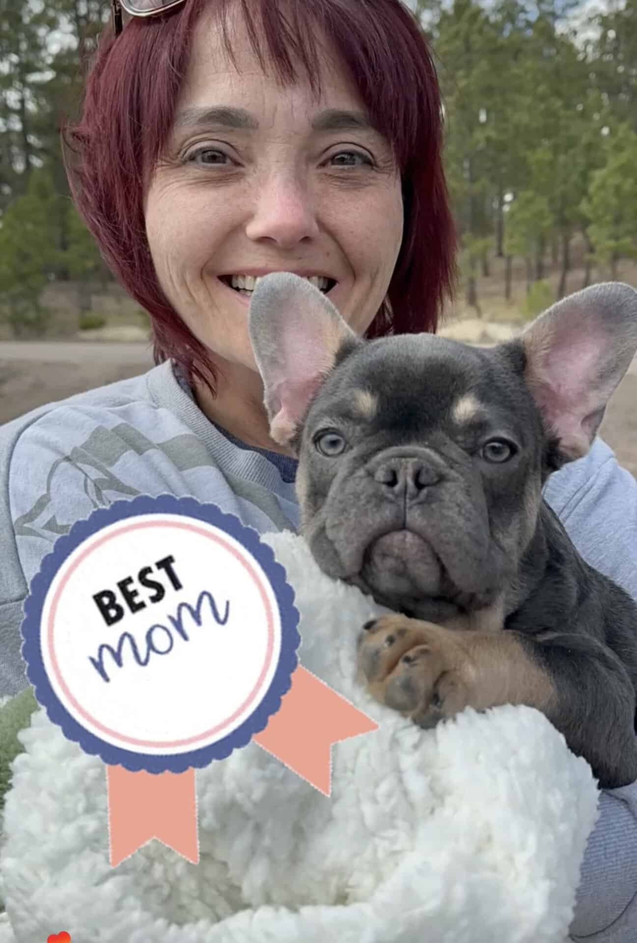 Smiling owner holding her new blue and tan Frenchie puppy in a blanket