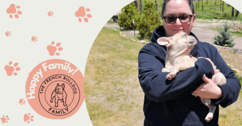 Raleigh | Lilac Fawn Merle French Bulldog Female | Adopted